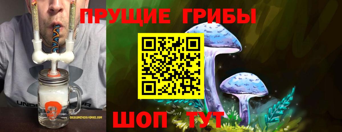 Галлюциногенные грибы GOLDEN TEACHER  Псилоцибиновые грибы Magic Shrooms  Геленджик  Вход с VPN 